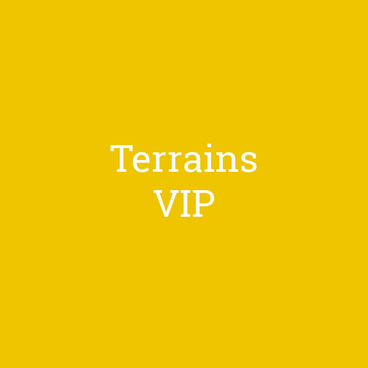 VIP